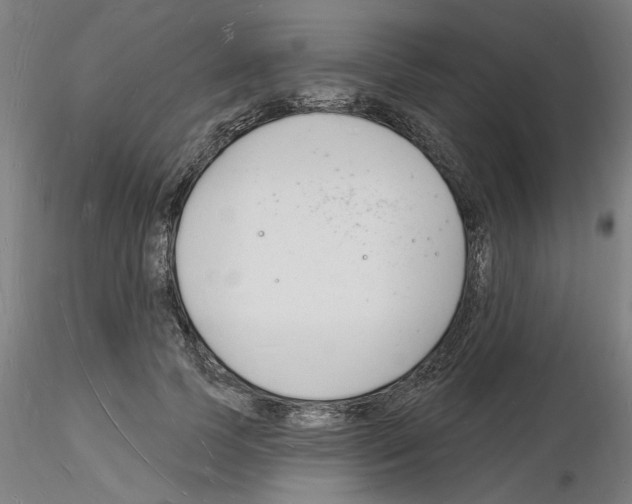 X0000116130745201001041011