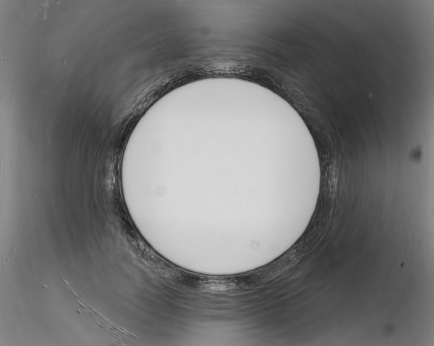 X0000116130746201001041011