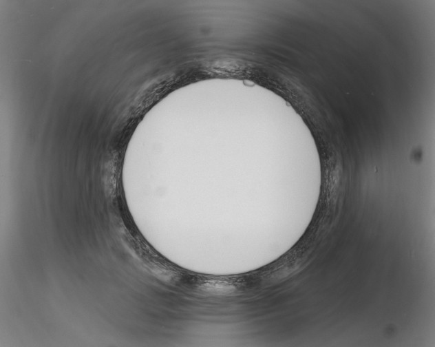 X0000116130749201001041011
