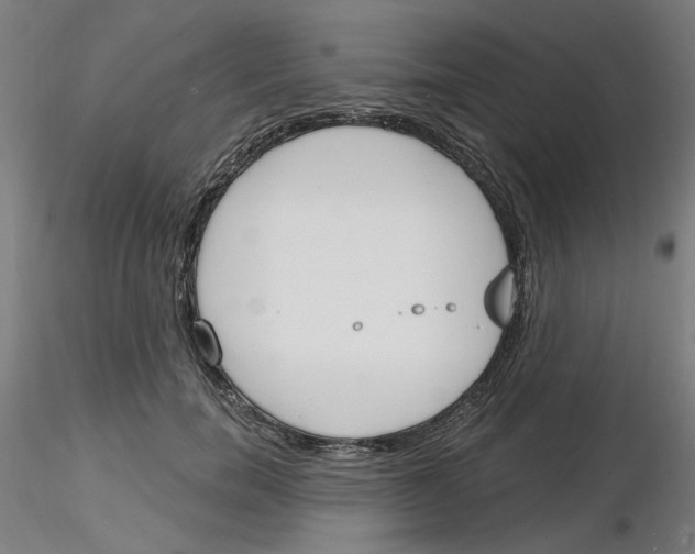X0000116130750201001041011