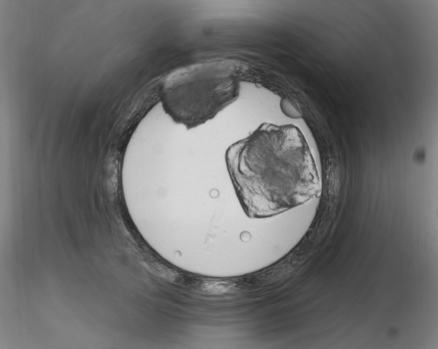 X0000116130753201001041011