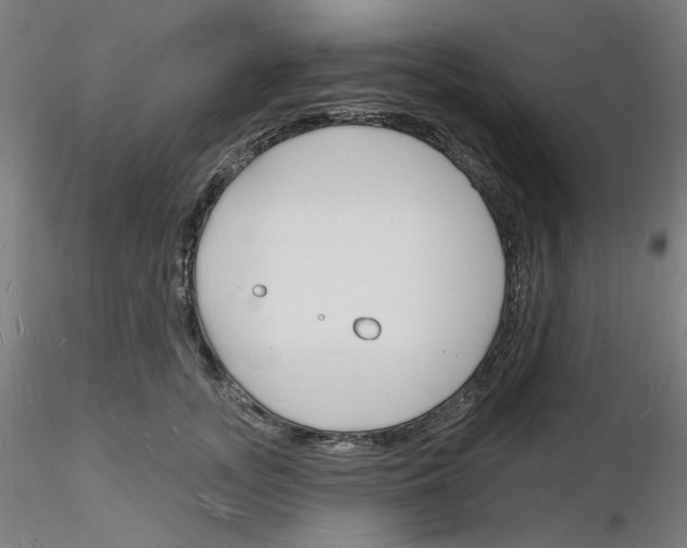 X0000116130755201001041011