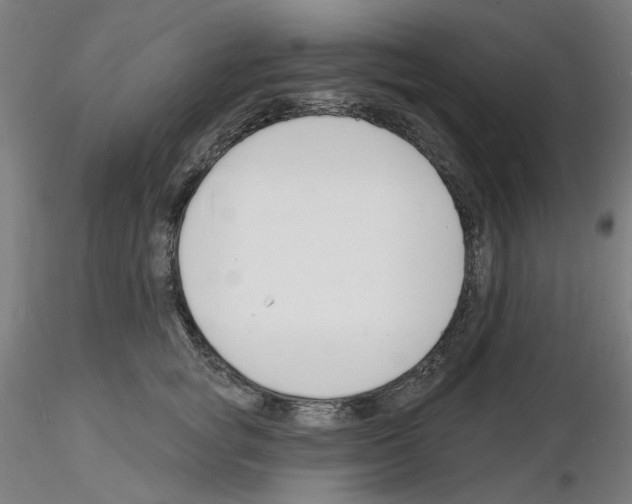 X0000116130757201001041011