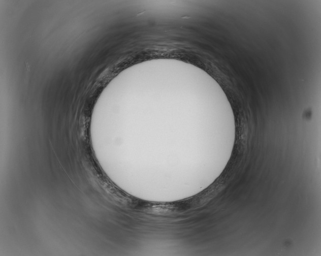 X0000116130758201001041011