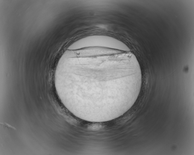 X0000116130759201001041011