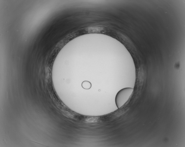 X0000116130761201001041011
