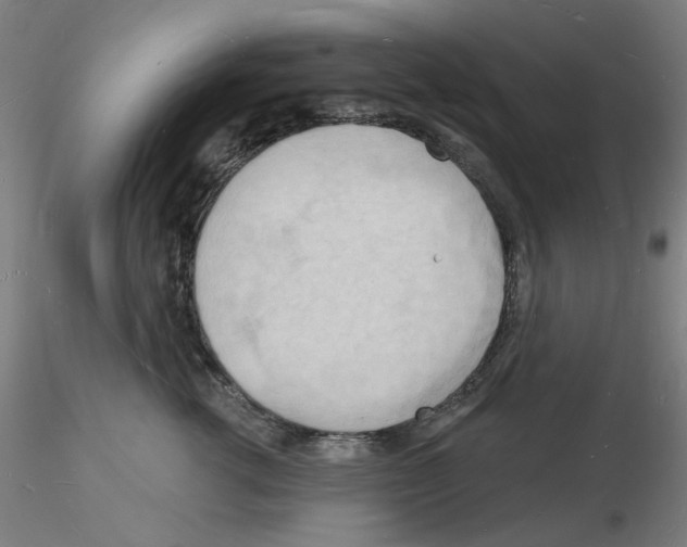 X0000116130762201001041011