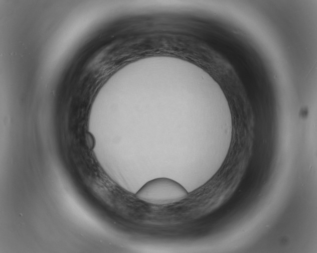 X0000116130766201001041011