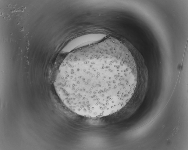 X0000116130767201001041011