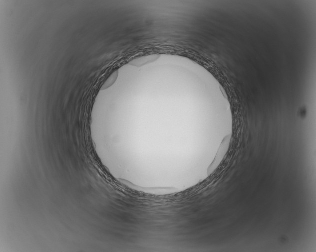 X0000116130769201001041011