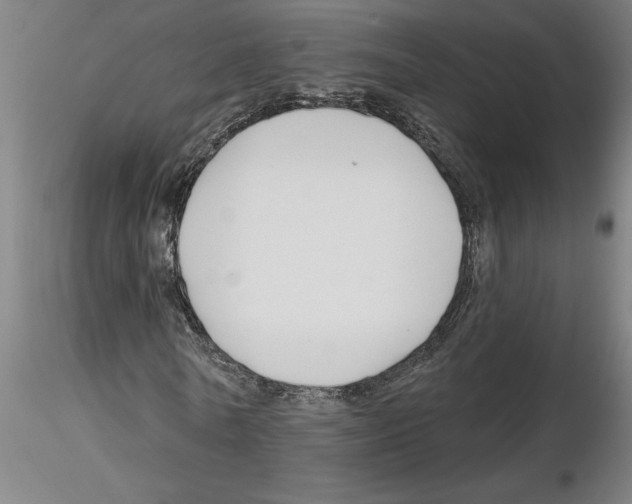 X0000116130770201001041011