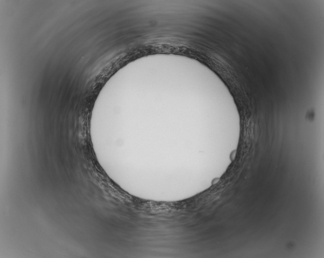 X0000116130774201001041011