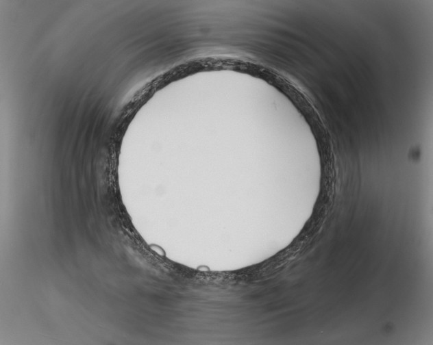 X0000116130775201001041011