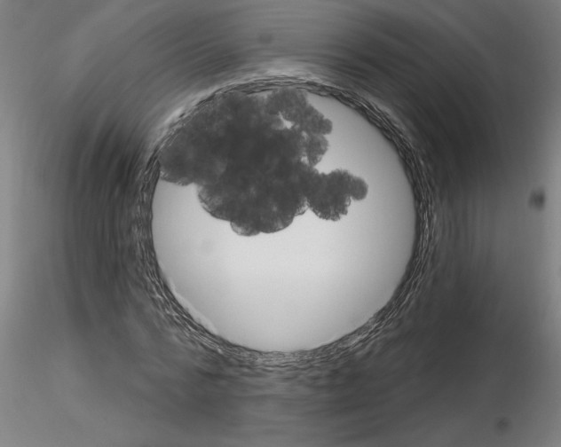 X0000116130776201001041011