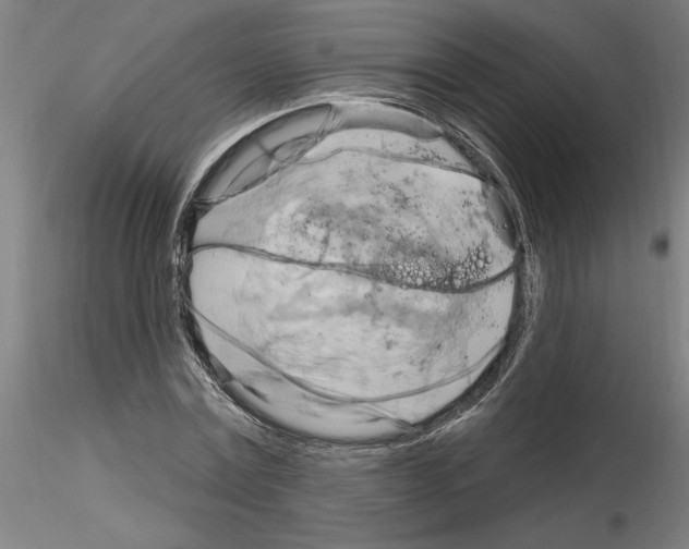 X0000116130779201001041010