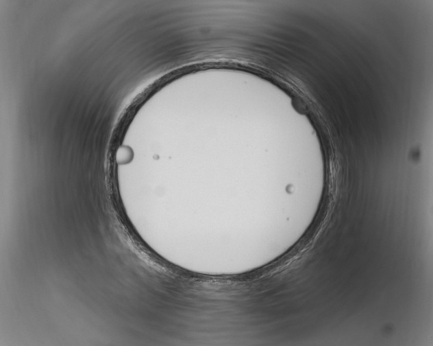 X0000116130780201001041010