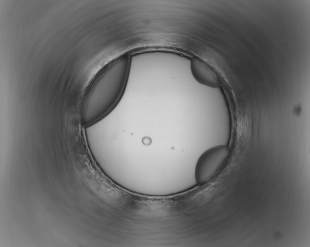 X0000116130781201001041010
