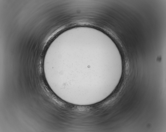 X0000116130782201001041010
