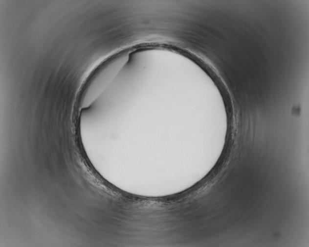 X0000116130783201001041010