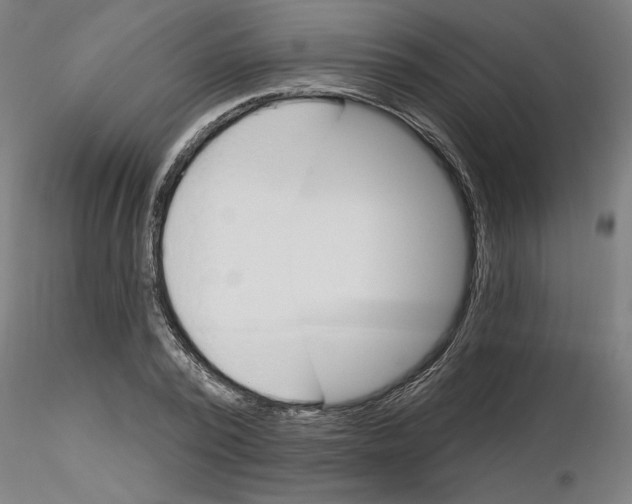 X0000116130784201001041010
