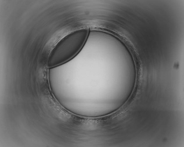 X0000116130785201001041010