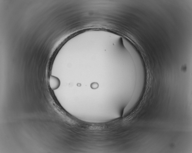 X0000116130788201001041010