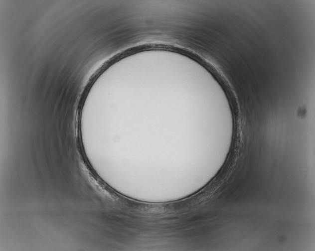 X0000116130791201001041010