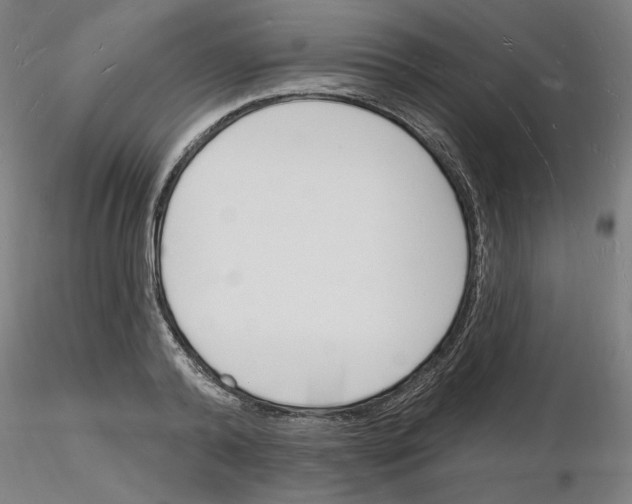 X0000116130792201001041010