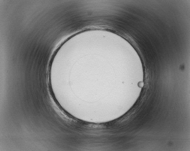 X0000116130795201001041010