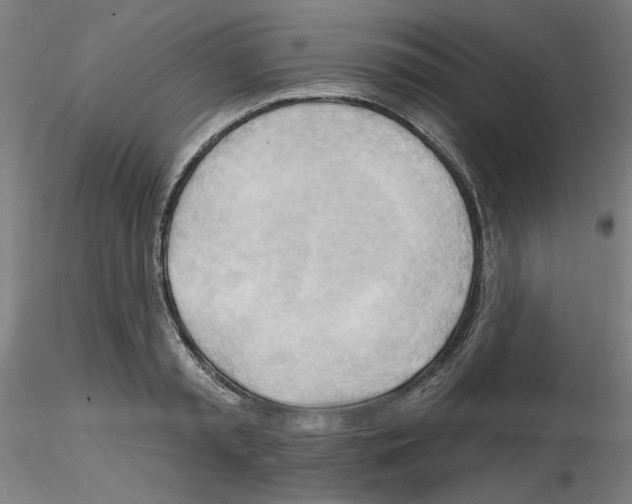 X0000116130797201001041010