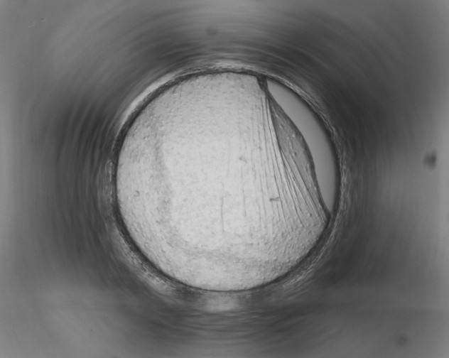 X0000116130798201001041010