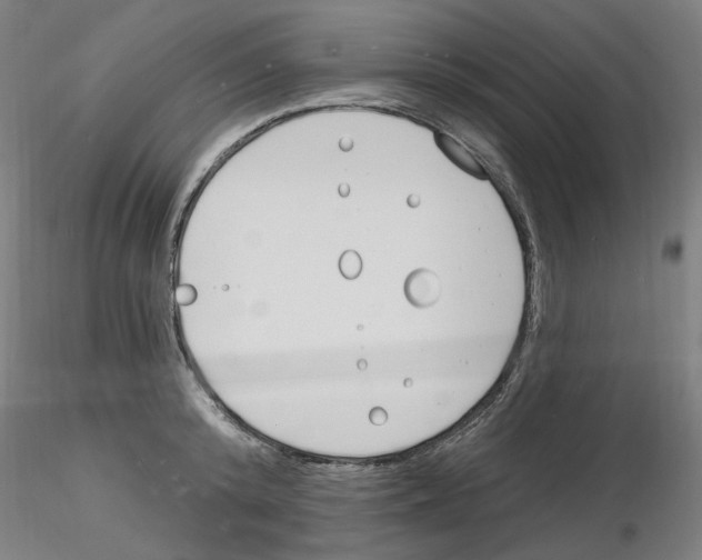 X0000116130800201001041010