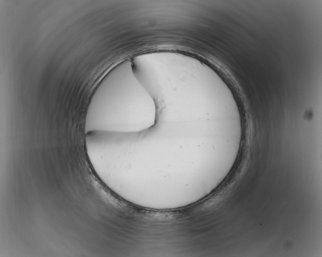 X0000116130801201001041010