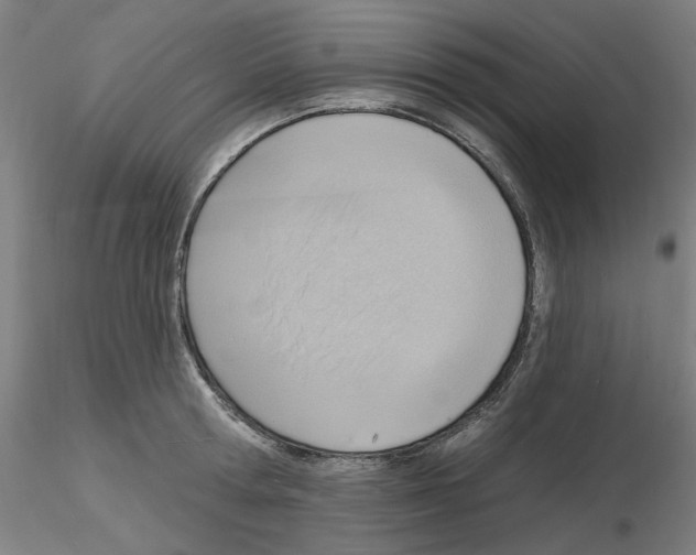 X0000116130802201001041010