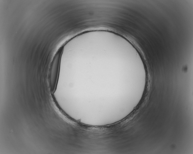 X0000116130805201001041010