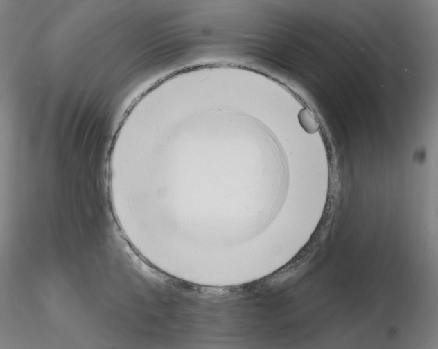 X0000116130807201001041010