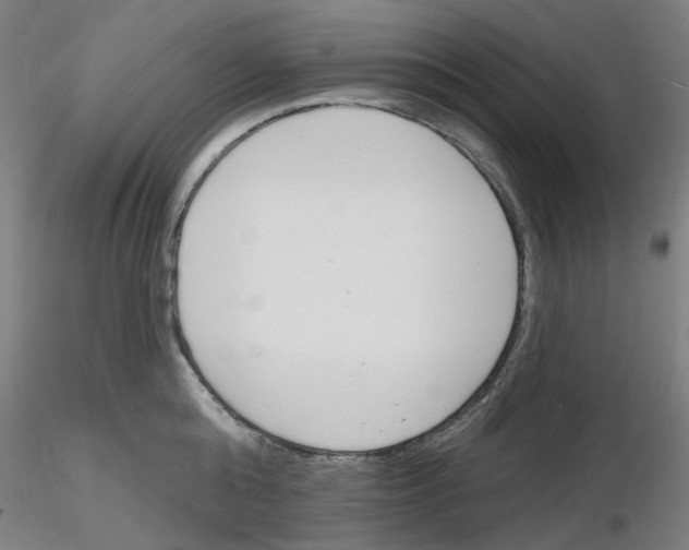 X0000116130808201001041010