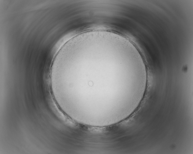 X0000116130810201001041010