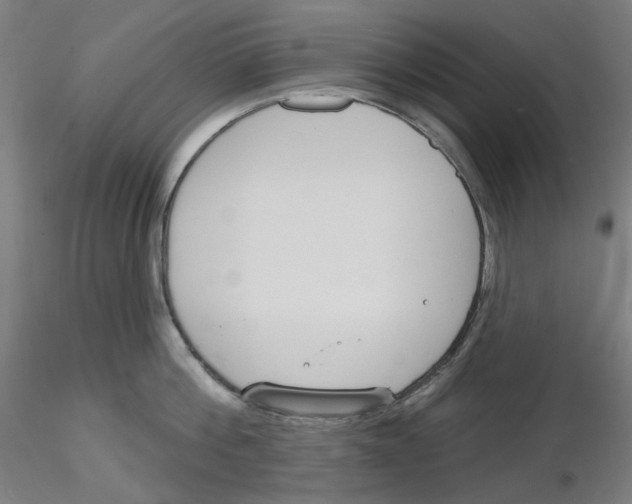 X0000116130812201001041010