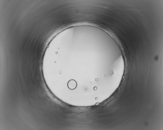 X0000116130813201001041010