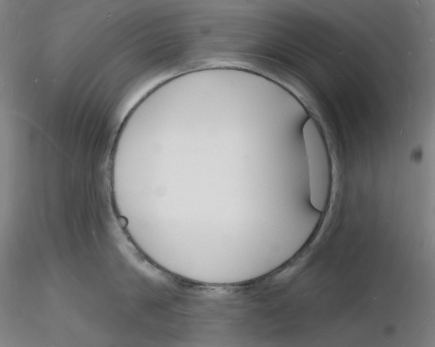 X0000116130814201001041010