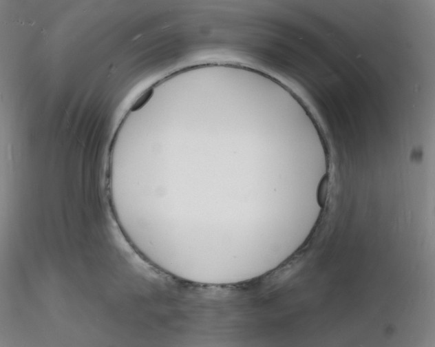 X0000116130815201001041010