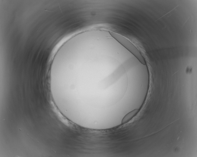 X0000116130816201001041010