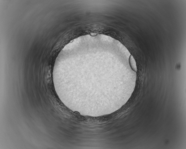X0000116130818201001041009