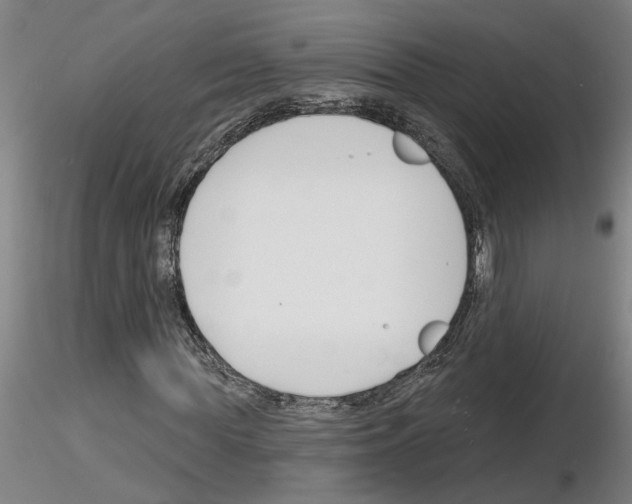X0000116130819201001041009