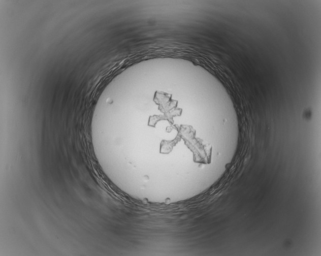 X0000116130820201001041009