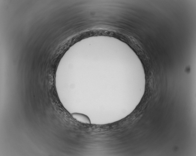 X0000116130821201001041009