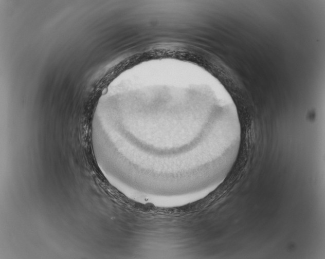 X0000116130822201001041009