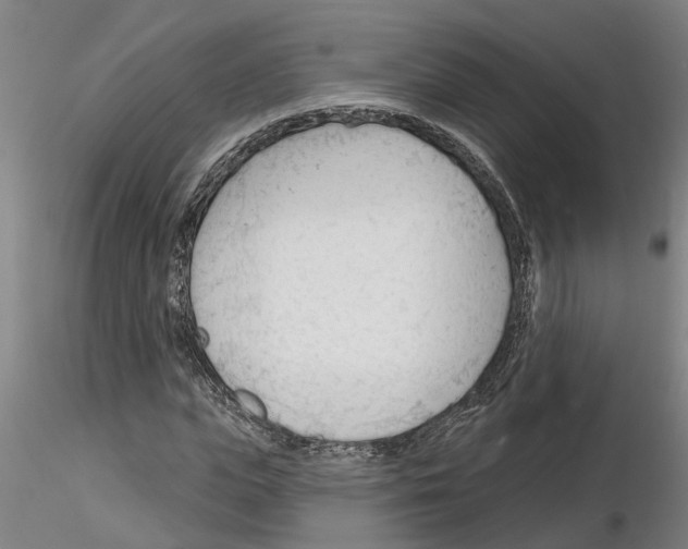 X0000116130823201001041009