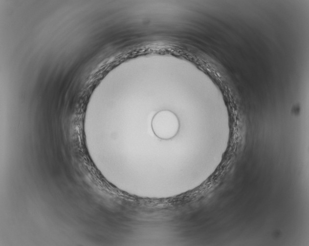 X0000116130824201001041009